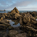 Rocky Tide Pools and Arch Rock Reflections